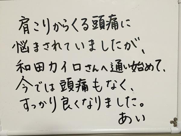 <川上村在住の アイさん>